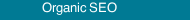 Organic SEO