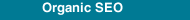Organic SEO